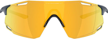 Oakley cybr dyno sports glasses
