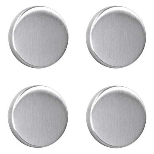 Metaltex magneten rond 4 stuks rvs
