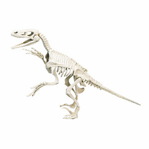 Clementoni Wetenschap Spel Archeospel Velociraptor