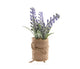 Decoris kunstplant lavende plantl in jute 5x5x12cm lila