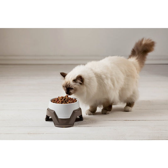 Bama pet voederbak stapelbaar 19x10-13 cm assorti