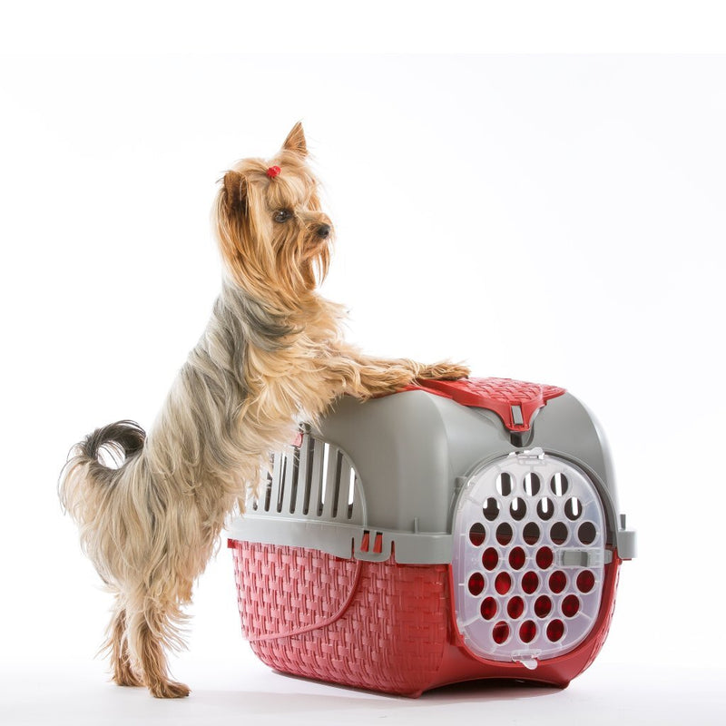 Load image into Gallery viewer, Bama pet transportbox 59x38x37 cm rood zilver
