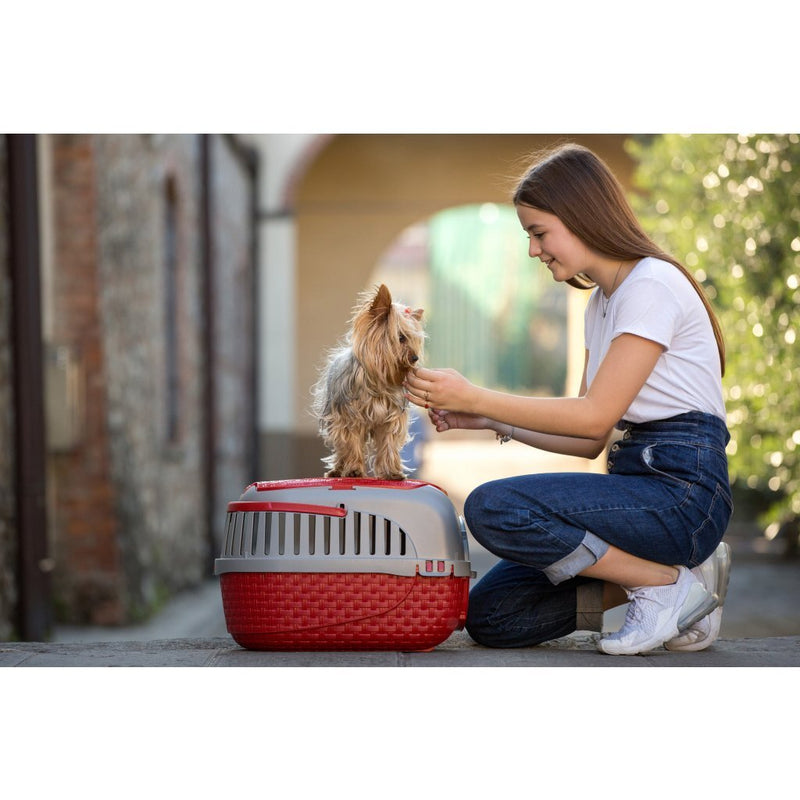 Load image into Gallery viewer, Bama pet transportbox 59x38x37 cm rood zilver

