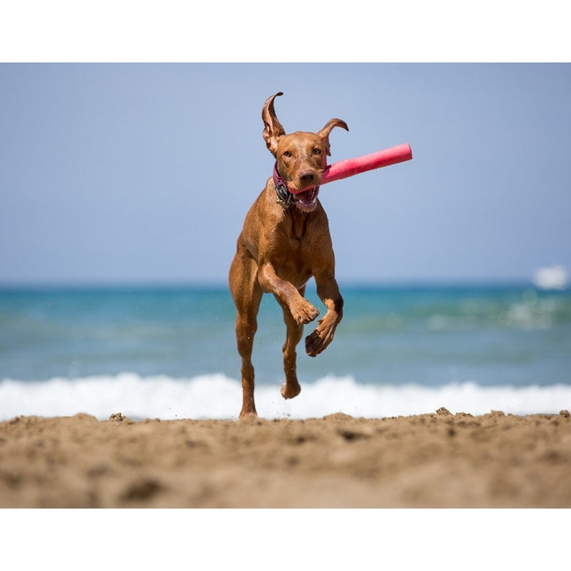 Load image into Gallery viewer, Bama tuttomio rubberen speelstok 11x4x37 cm assorti

