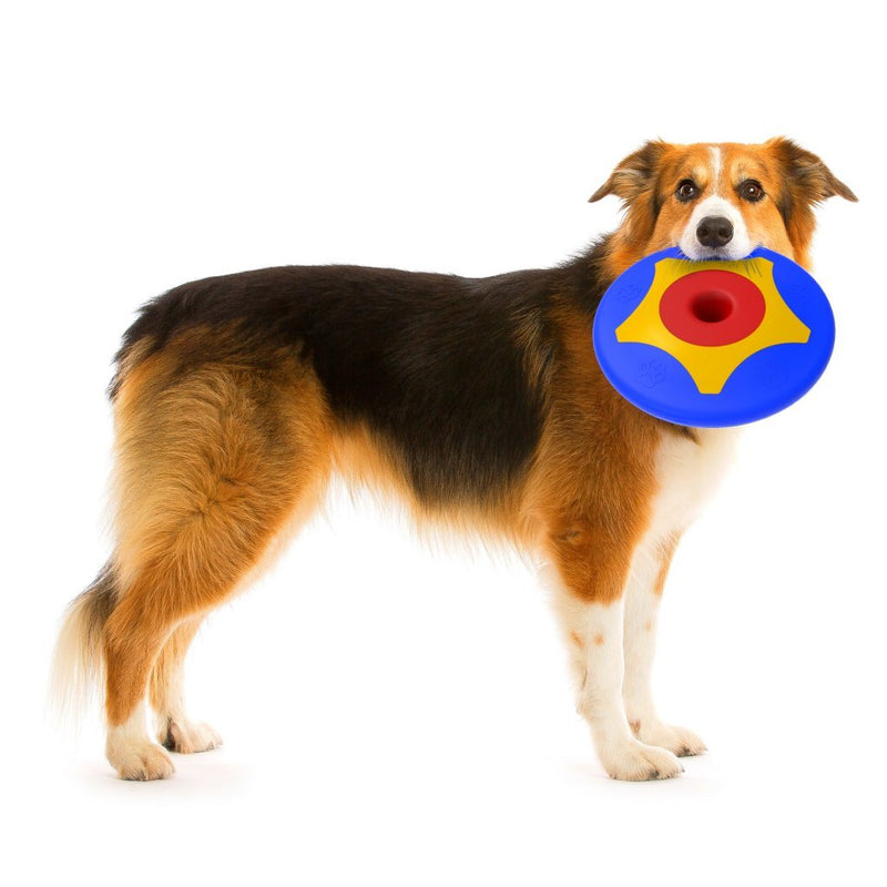 Load image into Gallery viewer, Bama pet trotto disk hondenspeelgoed 24.5x4.5 cm blauw geel rood

