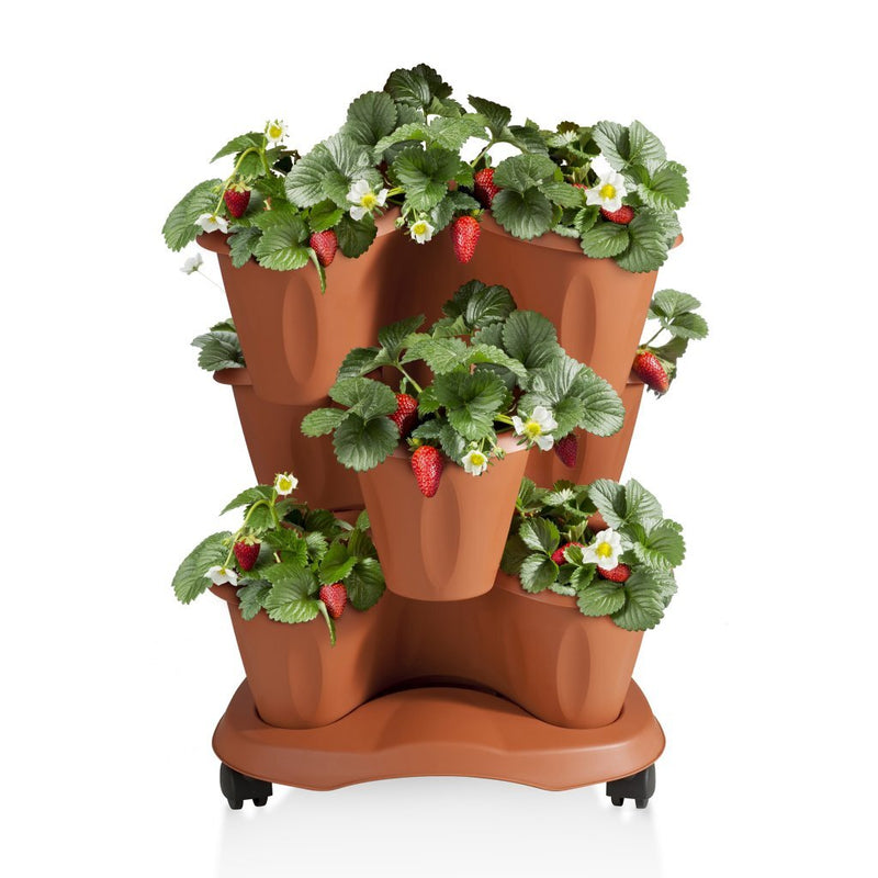 Load image into Gallery viewer, Bama trifoglio plantenbak met wieltjes 40x51 cm terracotta
