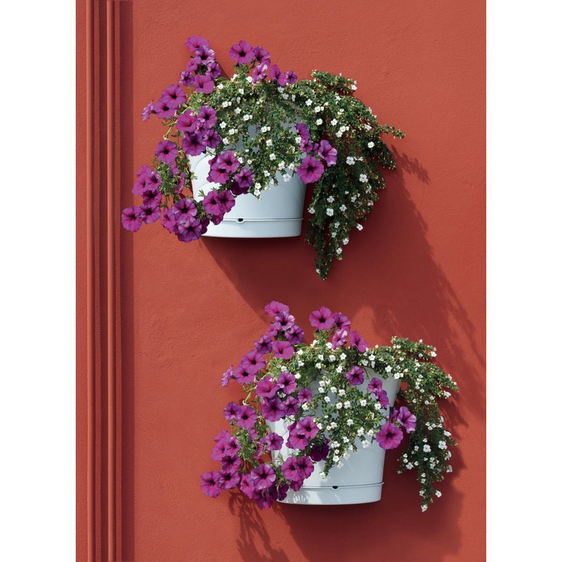 Load image into Gallery viewer, Bama tulipano bloempot 5l 34.5x19x30 cm 4 stuks wit
