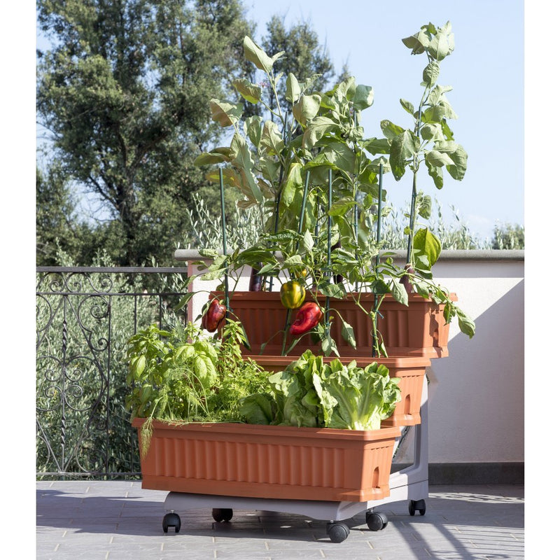Load image into Gallery viewer, Bama orto di kit plantenbakken 80x74x73 cm terracotta
