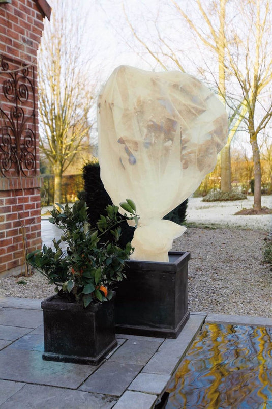 Nature - winterafdekvlies voor planten - 2 x 5m - 60 g m² - winterbescherming