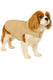 Flamingo hondenjas – bonnie – honden jas – hondenjasjes winter – hondenjas waterdicht – 40 cm – a:40cm b:34-40cm c:54-60cm – beige