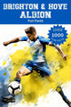 Brighton hove albion fun facts