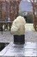 Nature - winterhoes - h150 x ø75cm (2 stuks) - beige - afdekhoes - met aantrekkoord