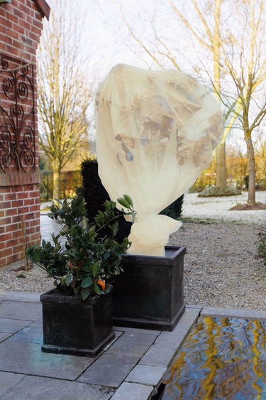 Nature - winterafdekvlies voor planten - 2 x 10m - 60 g m² - winterbescherming