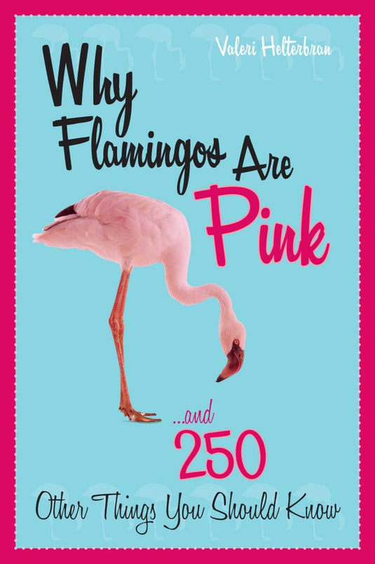 Why flamingos are pink