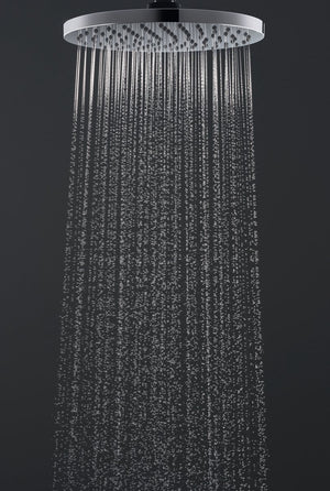 Hansgrohe vernis blend - hoofddouche 20cm - ecosmart - hoogglans chroom