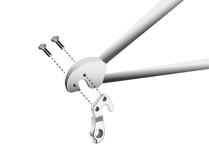 Load image into Gallery viewer, derailleurhanger GH-138 55,4 mm zilver
