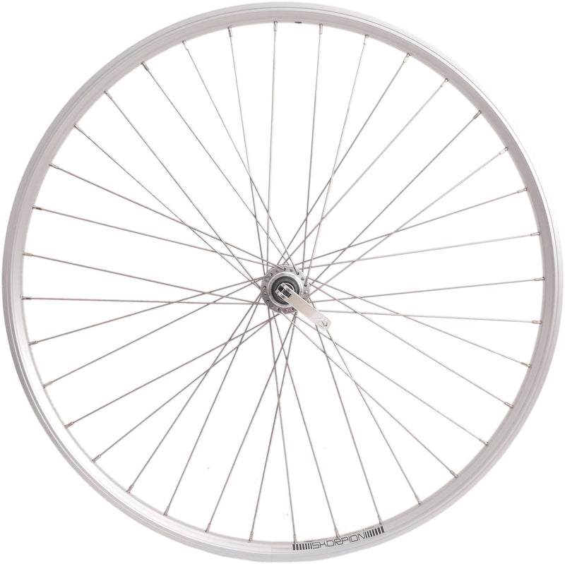 Load image into Gallery viewer, Rodi Achterwiel 28 inch 622x19 Skorpion 36 gaats FM32 8 9 speed naaf + QR zilver
