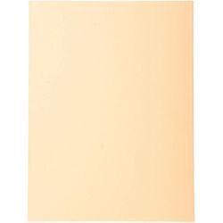 Sorteermap exacompta 420002e 170 g m zalm a4