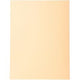 Sorteermap exacompta 420002e 170 g m zalm a4