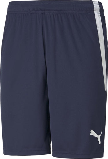 Puma teamliga shorts heren sportbroek - peacoat- white