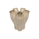 Countryfield vaas garber h30cm beige