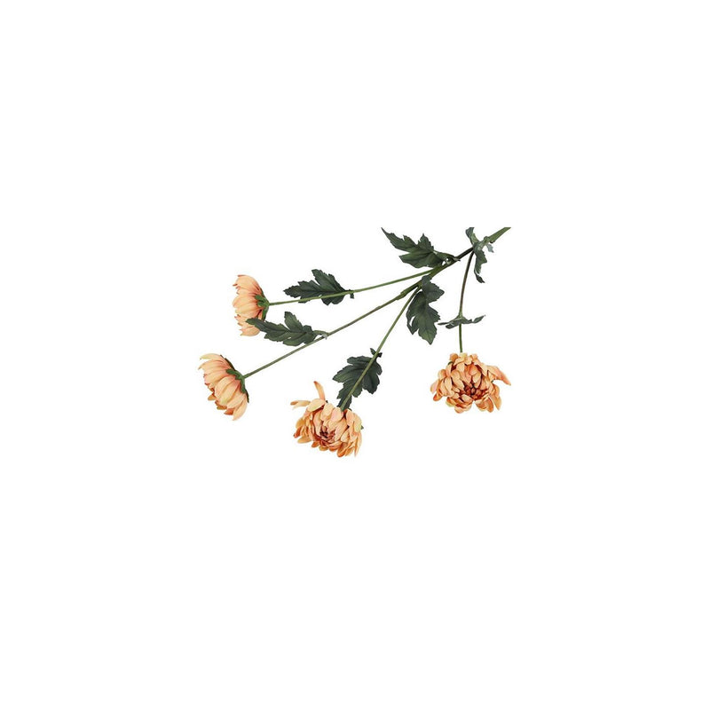 ギャラリービューアに画像をロードする, Countryfield kunsttak chrysanthemum beige 20xh83,8cm

