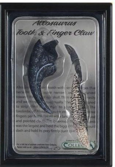 Collecta figurine gift set - allosaurus tand en vinger