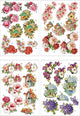 Creativ company 3d vellen - uitdrukvellen - kaarten maken - 3d bloemen en vogels - knipvellen voor 3d kaarten - creatieve vellen - papier vellen - uitdrukbare vellen - bloemen en vogel uitdrukvellen - 3d decoratie vellen- 21x30cm - 4 vellen