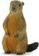 Bullyland 64455 – speelfiguur en verzamelfiguur marmot – levensecht en detailrijk vormgegeven – ideaal als taartfiguur en klein cadeautje voor kinderen vanaf 3 jaar.