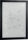 Durable 484301 documenthouder zwart (b x h) 236 mm x 323 mm din a4 staand, din a4 liggend