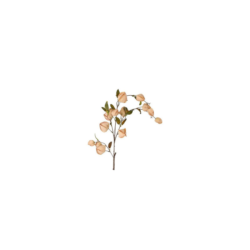 Cargue la imagen en el visor de la galería, Countryfield kunstbloem physalis miranda bruin zijde h94cm
