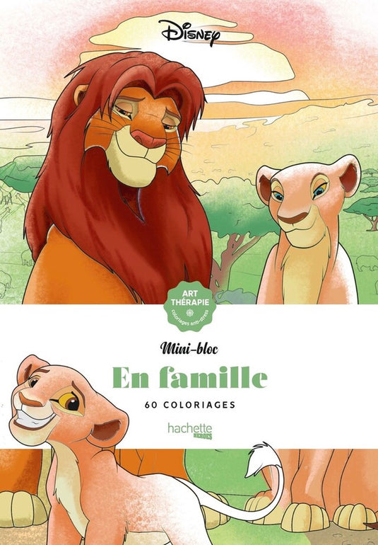 Hachette heroes mini bloc - disney en famille - kleurblok voor volwassenen