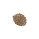 Country field countryfield beeld dennenappel pinus burtia goud aardewerk 11x7x6cm