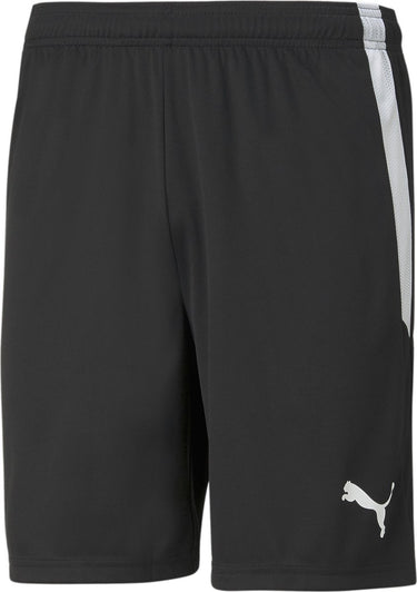Puma teamliga shorts heren sportbroek - black- white