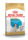 Royal canin jack russell terrier junior - 1,5 kg - hondenvoer