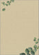 Sigel designpapier a4 - met motief eucalyptus - tweezijdig - 100 grams - 100 vel - si-dp615