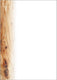 Merkloos sans marque sigel designpapier - formaat a5 - 90 grams - oak 2 - pak 100 vel - briefpapier - si-dp684