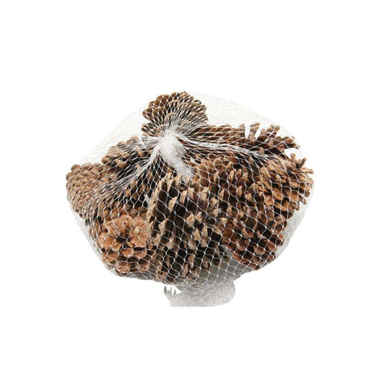Hbx natural living dennenappels zak a 15 stuks naturel