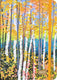 Peter pauper 2027 aspen forest weekly planner (16 months, sept 2026 to dec 2027)