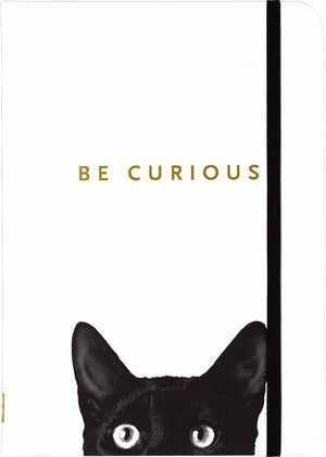 Peter pauper compacte notitieboek - curious cat - met elastieksluiting - 13x18 cm