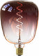 Calex kiruna colors marron - e27 led lamp - filament lichtbron dimbaar - 5w - warm wit licht
