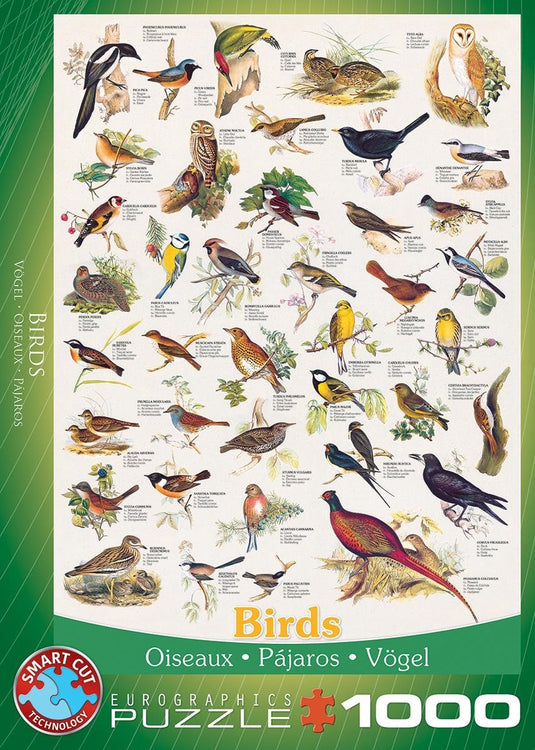 Eurographics - vogels [birds] - 1000 stukjes 48×68cm (b×h) - legpuzzel