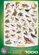 Eurographics - vogels [birds] - 1000 stukjes 48×68cm (b×h) - legpuzzel