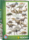 Eurographics puzzel dinosaurs of the cretaceous - legpuzzel 1000 stukjes.