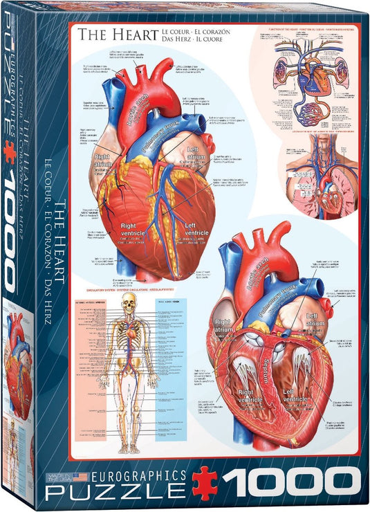 Eurographics - het hart [the heart] - 1000 stukjes 48×68cm (b×h) - legpuzzel