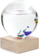 Kikkerland galileo thermometer – weersvoorspeller – meteorologie