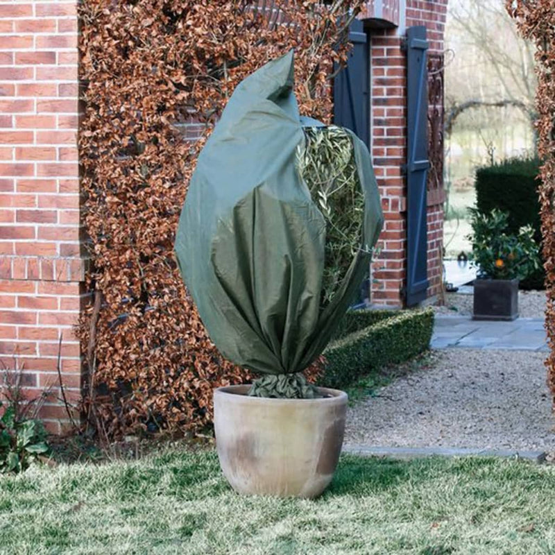 Load image into Gallery viewer, Nature Nature Winterhoes 70 g m² 1,5x2 m groen
