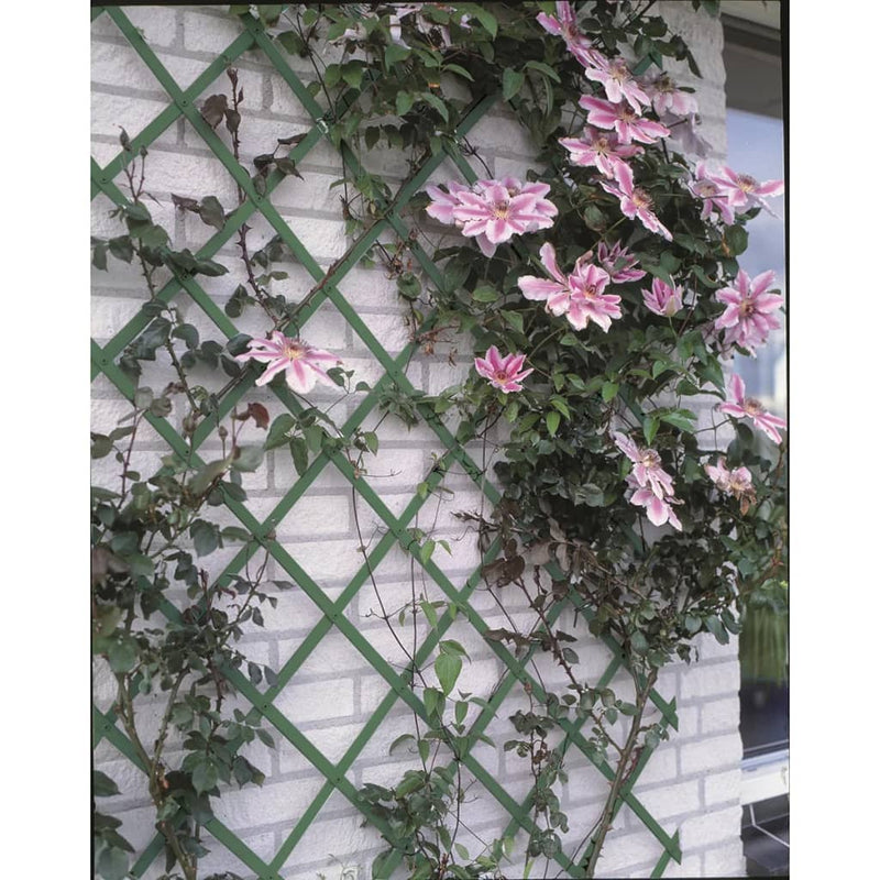 Load image into Gallery viewer, Nature plantenklimrek 100x200 cm pvc groen 6040704
