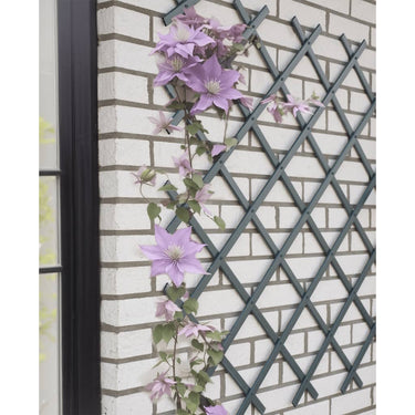 Nature tuinlatwerk 50x150 cm pvc antracietkleurig