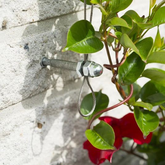 Nature spandraadsysteem voor klimplanten 6040760